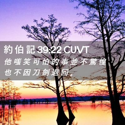 Picture 02 - 約 伯 記 39:22 CUVT - 他 嗤 笑 可 怕 的 事 並 不 驚 惶 ， - Bible Verse Picture