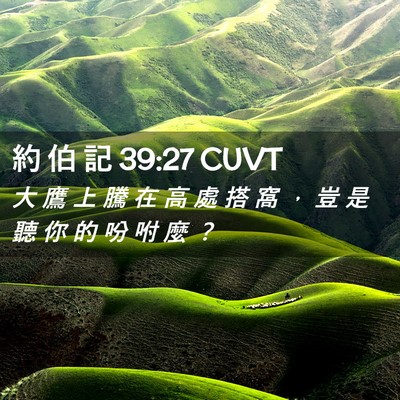 Picture 02 - 約 伯 記 39:27 CUVT - 大 鷹 上 騰 在 高 處 搭 窩 ， 豈 是 - Bible Verse Picture