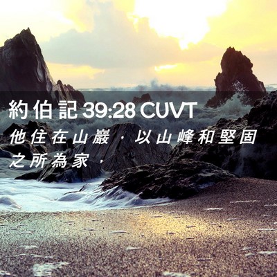 Picture 02 - 約 伯 記 39:28 CUVT - 他 住 在 山 巖 ， 以 山 峰 和 堅 固 - Bible Verse Picture