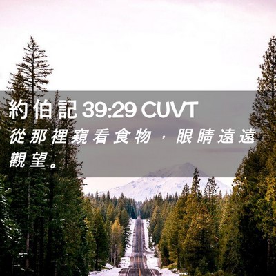 Picture 02 - 約 伯 記 39:29 CUVT - 從 那 裡 窺 看 食 物 ， 眼 睛 遠 遠 - Bible Verse Picture