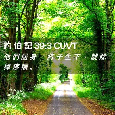 Picture 02 - 約 伯 記 39:3 CUVT - 他 們 屈 身 ， 將 子 生 下 ， 就 除 - Bible Verse Picture