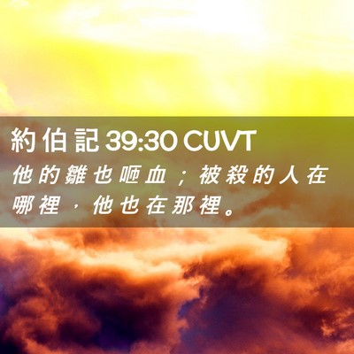 Picture 02 - 約 伯 記 39:30 CUVT - 他 的 雛 也 咂 血 ； 被 殺 的 人 在 - Bible Verse Picture