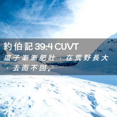 Picture 02 - 約 伯 記 39:4 CUVT - 這 子 漸 漸 肥 壯 ， 在 荒 野 長 大 - Bible Verse Picture