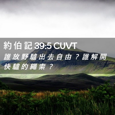 Picture 02 - 約 伯 記 39:5 CUVT - 誰 放 野 驢 出 去 自 由 ？ 誰 解 開 - Bible Verse Picture