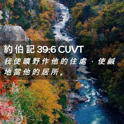 Picture 02 - 約 伯 記 39:6 CUVT - 我 使 曠 野 作 他 的 住 處 ， 使 鹹 - Bible Verse Picture