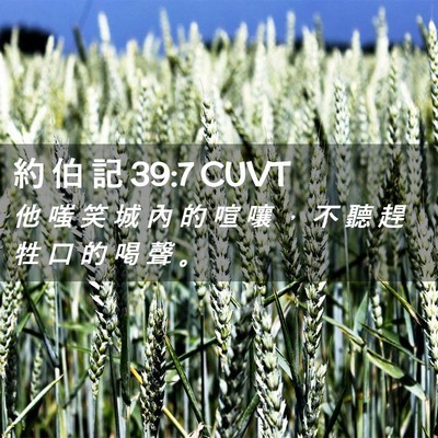 Picture 02 - 約 伯 記 39:7 CUVT - 他 嗤 笑 城 內 的 喧 嚷 ， 不 聽 趕 - Bible Verse Picture