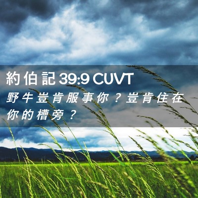 Picture 02 - 約 伯 記 39:9 CUVT - 野 牛 豈 肯 服 事 你 ？ 豈 肯 住 在 - Bible Verse Picture