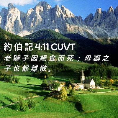 Picture 02 - 約 伯 記 4:11 CUVT - 老 獅 子 因 絕 食 而 死 ； 母 獅 之 - Bible Verse Picture