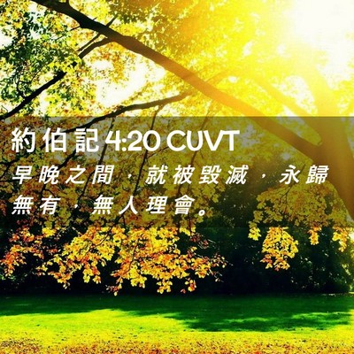 Picture 02 - 約 伯 記 4:20 CUVT - 早 晚 之 間 ， 就 被 毀 滅 ， 永 歸 - Bible Verse Picture