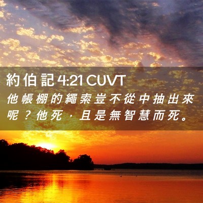 Picture 02 - 約 伯 記 4:21 CUVT - 他 帳 棚 的 繩 索 豈 不 從 中 抽 出 - Bible Verse Picture