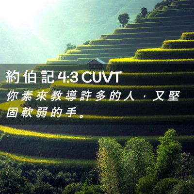Picture 02 - 約 伯 記 4:3 CUVT - 你 素 來 教 導 許 多 的 人 ， 又 堅 - Bible Verse Picture
