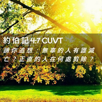 Picture 02 - 約 伯 記 4:7 CUVT - 請 你 追 想 ： 無 辜 的 人 有 誰 滅 - Bible Verse Picture