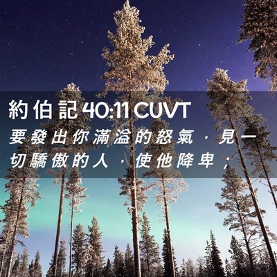 Picture 02 - 約 伯 記 40:11 CUVT - 要 發 出 你 滿 溢 的 怒 氣 ， 見 一 - Bible Verse Picture