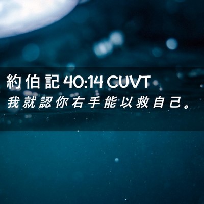 Picture 02 - 約 伯 記 40:14 CUVT - 我 就 認 你 右 手 能 以 救 自 己 - Bible Verse Picture