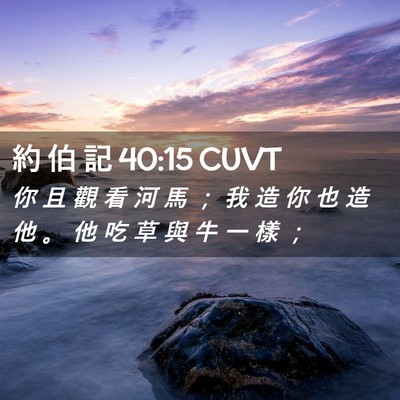 Picture 02 - 約 伯 記 40:15 CUVT - 你 且 觀 看 河 馬 ； 我 造 你 也 造 - Bible Verse Picture