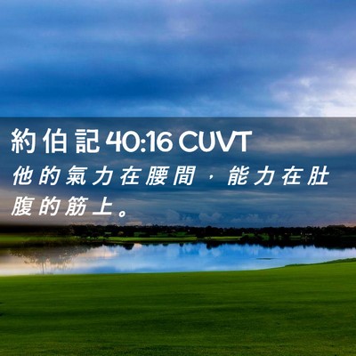 Picture 02 - 約 伯 記 40:16 CUVT - 他 的 氣 力 在 腰 間 ， 能 力 在 肚 - Bible Verse Picture