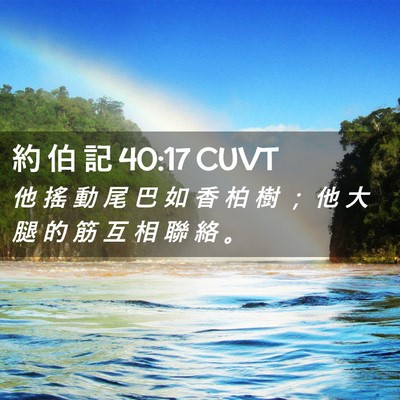 Picture 02 - 約 伯 記 40:17 CUVT - 他 搖 動 尾 巴 如 香 柏 樹 ； 他 大 - Bible Verse Picture