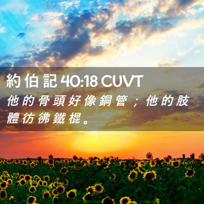 Picture 02 - 約 伯 記 40:18 CUVT - 他 的 骨 頭 好 像 銅 管 ； 他 的 肢 - Bible Verse Picture
