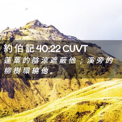 Picture 02 - 約 伯 記 40:22 CUVT - 蓮 葉 的 陰 涼 遮 蔽 他 ； 溪 旁 的 - Bible Verse Picture
