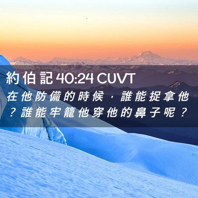 Picture 02 - 約 伯 記 40:24 CUVT - 在 他 防 備 的 時 候 ， 誰 能 捉 拿 - Bible Verse Picture
