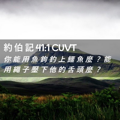 Picture 02 - 約 伯 記 41:1 CUVT - 你 能 用 魚 鉤 釣 上 鱷 魚 麼 ？ 能 - Bible Verse Picture