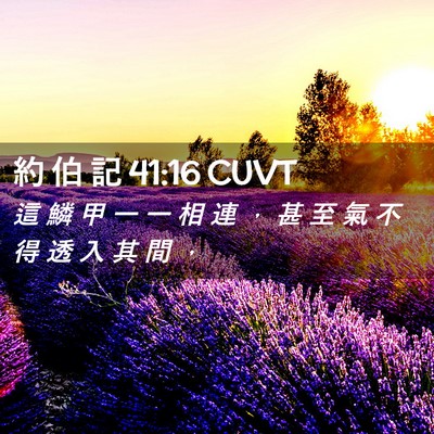 Picture 02 - 約 伯 記 41:16 CUVT - 這 鱗 甲 一 一 相 連 ， 甚 至 氣 不 - Bible Verse Picture