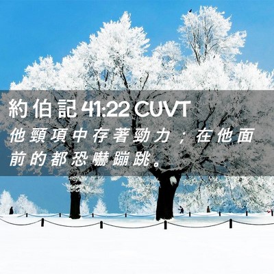 Picture 02 - 約 伯 記 41:22 CUVT - 他 頸 項 中 存 著 勁 力 ； 在 他 面 - Bible Verse Picture