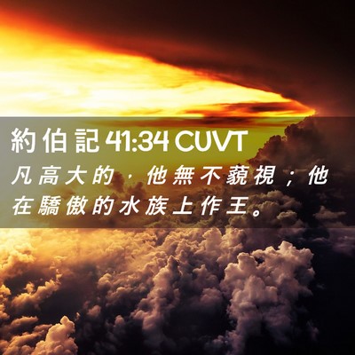 Picture 02 - 約 伯 記 41:34 CUVT - 凡 高 大 的 ， 他 無 不 藐 視 ； 他 - Bible Verse Picture