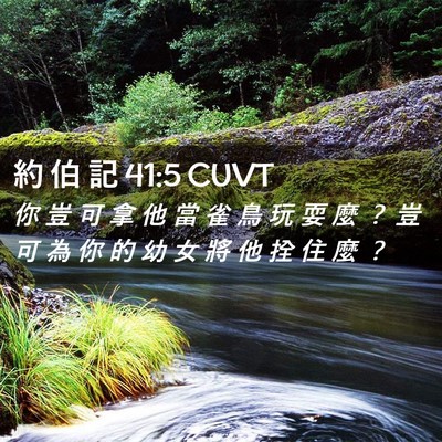 Picture 02 - 約 伯 記 41:5 CUVT - 你 豈 可 拿 他 當 雀 鳥 玩 耍 麼 ？ - Bible Verse Picture