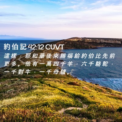 Picture 02 - 約 伯 記 42:12 CUVT - 這 樣 ， 耶 和 華 後 來 賜 福 給 約 - Bible Verse Picture