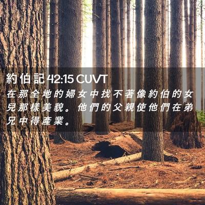 Picture 02 - 約 伯 記 42:15 CUVT - 在 那 全 地 的 婦 女 中 找 不 著 像 - Bible Verse Picture