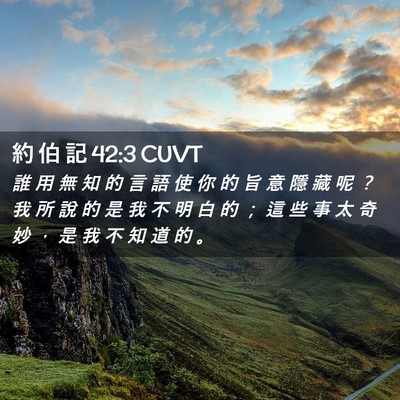Picture 02 - 約 伯 記 42:3 CUVT - 誰 用 無 知 的 言 語 使 你 的 旨 意 - Bible Verse Picture