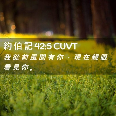 Picture 02 - 約 伯 記 42:5 CUVT - 我 從 前 風 聞 有 你 ， 現 在 親 眼 - Bible Verse Picture