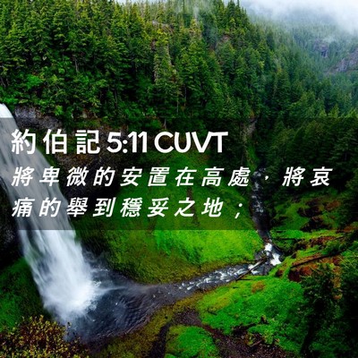 Picture 02 - 約 伯 記 5:11 CUVT - 將 卑 微 的 安 置 在 高 處 ， 將 哀 - Bible Verse Picture