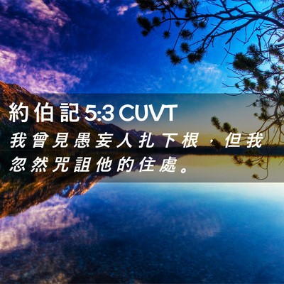 Picture 02 - 約 伯 記 5:3 CUVT - 我 曾 見 愚 妄 人 扎 下 根 ， 但 我 - Bible Verse Picture