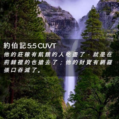 Picture 02 - 約 伯 記 5:5 CUVT - 他 的 莊 稼 有 飢 餓 的 人 吃 盡 了 - Bible Verse Picture