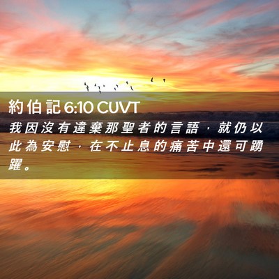 Picture 02 - 約 伯 記 6:10 CUVT - 我 因 沒 有 違 棄 那 聖 者 的 言 語 - Bible Verse Picture