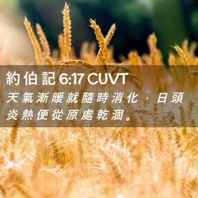 Picture 02 - 約 伯 記 6:17 CUVT - 天 氣 漸 暖 就 隨 時 消 化 ， 日 頭 - Bible Verse Picture