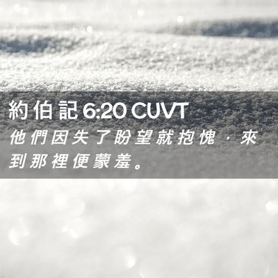 Picture 02 - 約 伯 記 6:20 CUVT - 他 們 因 失 了 盼 望 就 抱 愧 ， 來 - Bible Verse Picture