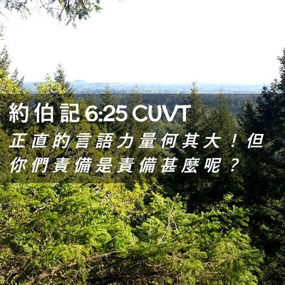 Picture 02 - 約 伯 記 6:25 CUVT - 正 直 的 言 語 力 量 何 其 大 ！ 但 - Bible Verse Picture