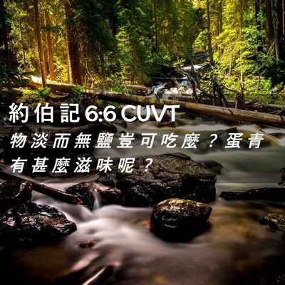 Picture 02 - 約 伯 記 6:6 CUVT - 物 淡 而 無 鹽 豈 可 吃 麼 ？ 蛋 青 - Bible Verse Picture