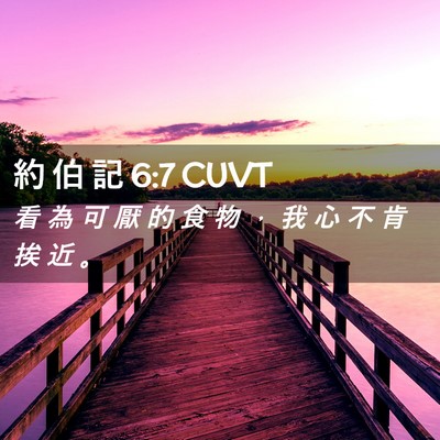 Picture 02 - 約 伯 記 6:7 CUVT - 看 為 可 厭 的 食 物 ， 我 心 不 肯 - Bible Verse Picture