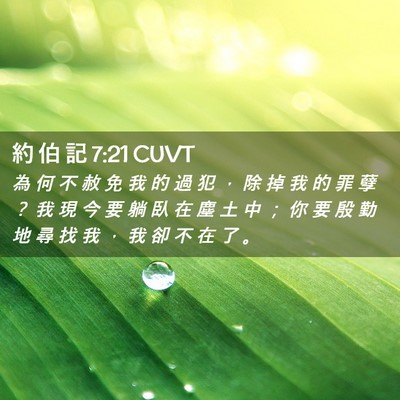 Picture 02 - 約 伯 記 7:21 CUVT - 為 何 不 赦 免 我 的 過 犯 ， 除 掉 - Bible Verse Picture