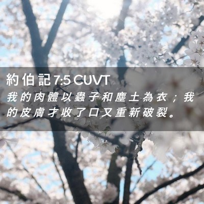 Picture 02 - 約 伯 記 7:5 CUVT - 我 的 肉 體 以 蟲 子 和 塵 土 為 衣 - Bible Verse Picture
