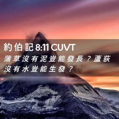 Picture 02 - 約 伯 記 8:11 CUVT - 蒲 草 沒 有 泥 豈 能 發 長 ？ 蘆 荻 - Bible Verse Picture