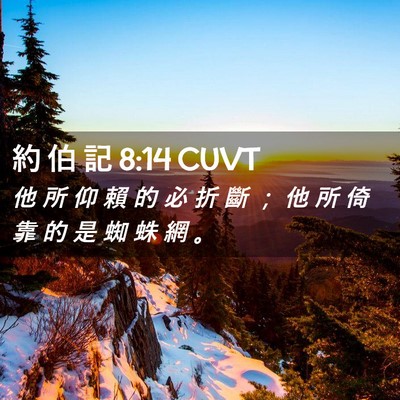 Picture 02 - 約 伯 記 8:14 CUVT - 他 所 仰 賴 的 必 折 斷 ； 他 所 倚 - Bible Verse Picture