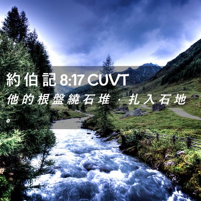 Picture 02 - 約 伯 記 8:17 CUVT - 他 的 根 盤 繞 石 堆 ， 扎 入 石 地 - Bible Verse Picture