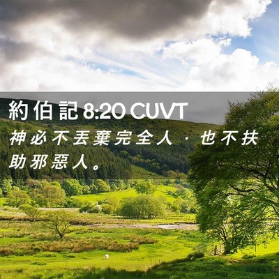 Picture 02 - 約 伯 記 8:20 CUVT - 神 必 不 丟 棄 完 全 人 ， 也 不 扶 - Bible Verse Picture