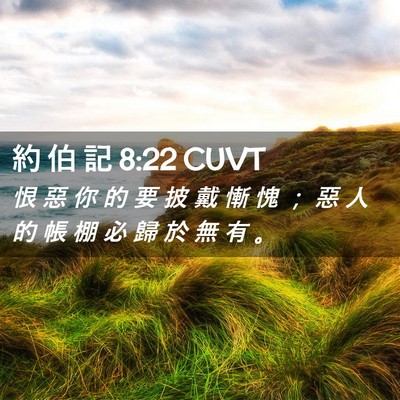Picture 02 - 約 伯 記 8:22 CUVT - 恨 惡 你 的 要 披 戴 慚 愧 ； 惡 人 - Bible Verse Picture