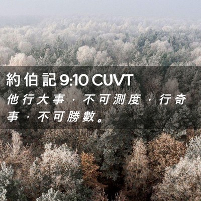 Picture 02 - 約 伯 記 9:10 CUVT - 他 行 大 事 ， 不 可 測 度 ， 行 奇 - Bible Verse Picture